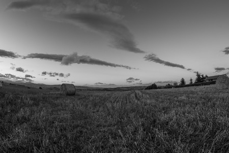 Panorama of a field of hayの写真素材