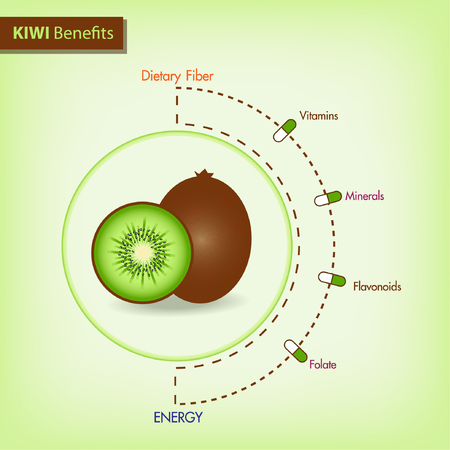 Kiwi nutrient of facts and health benefits, info graphic fruit, food vectorのイラスト素材