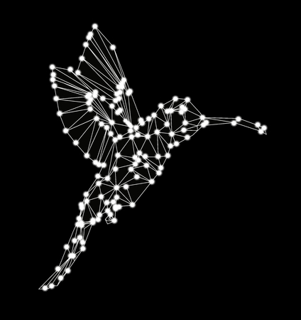 Isolated black and white hummingbird with black background,.のイラスト素材