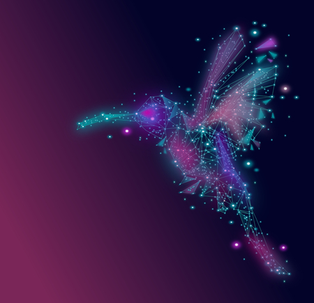 Isolated Low poly colorful Hummingbird in colorful designのイラスト素材
