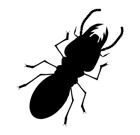 Shadow of termite with a white background.のイラスト素材