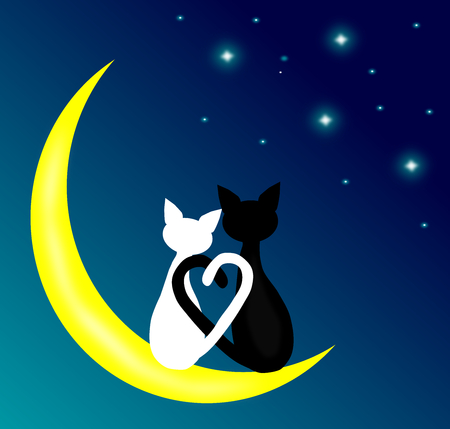 Two cats in love sitting on the crescent moon at night,lover couple,vector.のイラスト素材