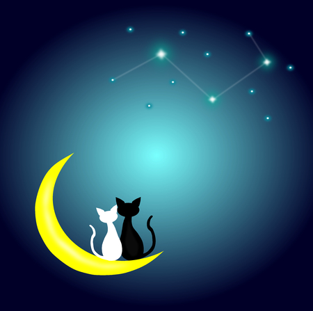 two cats in love sitting on the Crescent Moon and looking the constellation at night,lover couple,vector.のイラスト素材