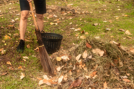 Woman clean the garbage and sweep dry leaves On the park,Human holding broom and pile of leafの写真素材