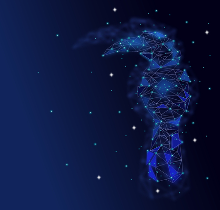 Low poly Blue Hornbill bird with Galaxy background,animal geometric,Abstract vector.のイラスト素材