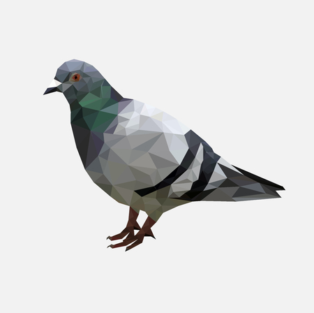 Low poly pigeon bird on gray back ground,animal geometric concept,Abstract vectorのイラスト素材