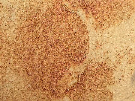Rusty metal texture background,Grunge surface with cracked yellow paint