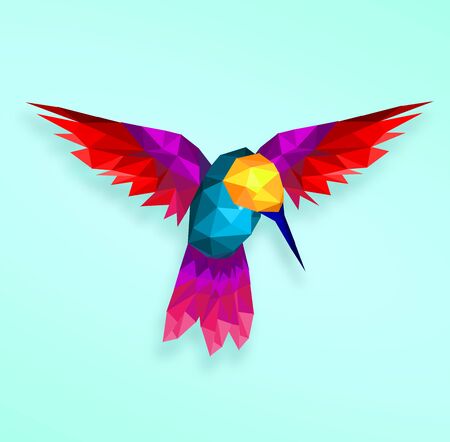 Isolated Low poly colorful Hummingbird with soft back ground, animal geometric, vector.のイラスト素材