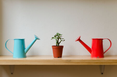 different colour watering canの写真素材
