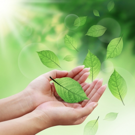 Care leaves with your hands in the world Care leaves with your hands in the world