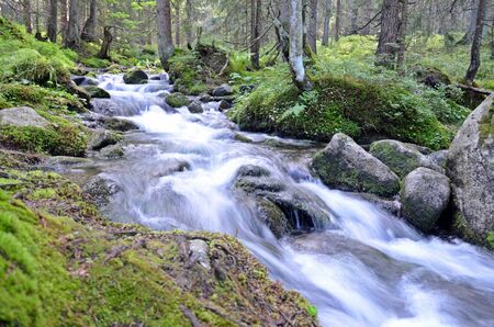 wild mountain river in low tatras in slovakiaの写真素材