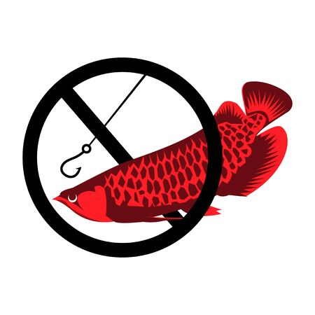 Arowana fish vector. no fishing. Vector Illustration on white backgroundのイラスト素材