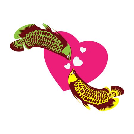 Arowana fish vector. fish and love. Vector Illustration on white backgroundのイラスト素材