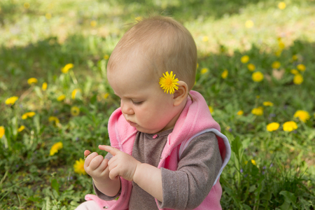 Little baby playing in the park on the grass on a sunny dayの写真素材