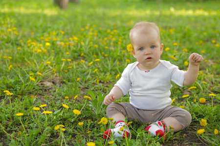 young adorable cheerful baby sit in park on green grass and playingの写真素材