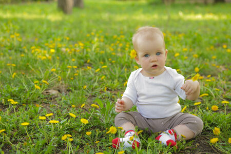 young adorable cheerful baby sit in park on green grass and playingの写真素材