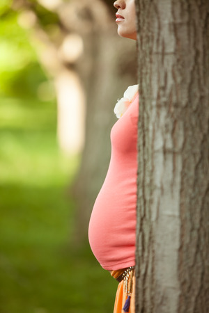 silhouette of a pregnant woman, outdoors, new life conceptの写真素材