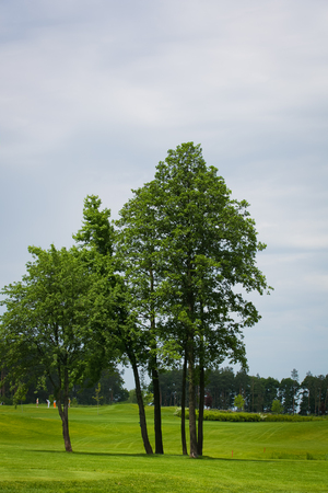 A lush fairway in the foreground contrast in the distance at a golf course.の写真素材