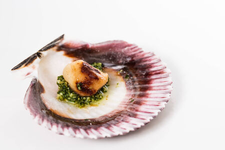 Studio closeup of seared scallops, garnished with pea shoots and served on a bed of green and purple...