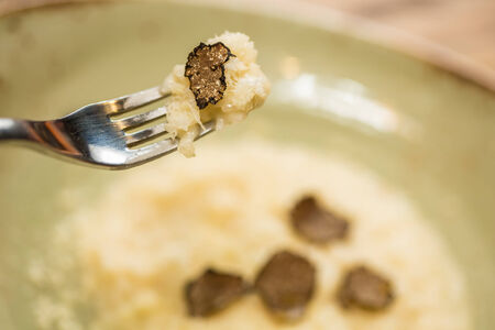 Italian risotto with black truffle. Shallow dof.の写真素材