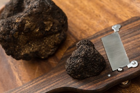 delicacy mushroom black truffle. rare and expensive vegetableの写真素材