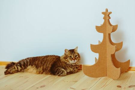 Christmas Tree Made Of Cardboard. Unique Trees. New Yearの写真素材