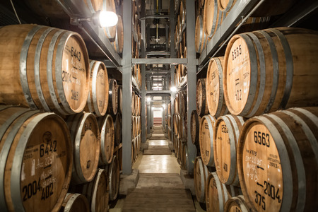 Rows with many barrels in cognac factory