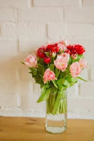 bouquet of tulips on a white background for advertisingの写真素材