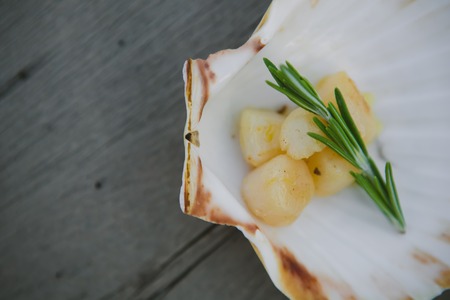Delicious sea scallop served on a scallop shell on wooden backgroundの写真素材