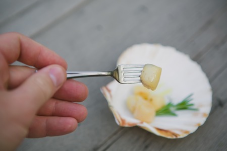 Delicious sea scallop served on a scallop shell on wooden backgroundの写真素材