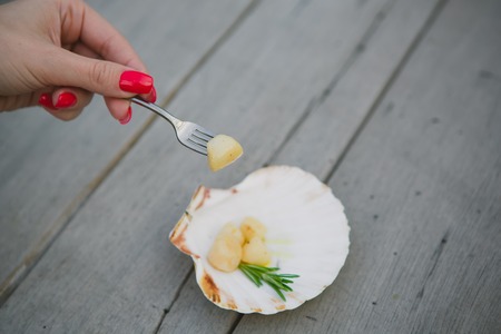 Delicious sea scallop served on a scallop shell on wooden backgroundの写真素材