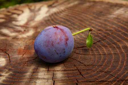 fresh plum on wooden table. Shallow dofの写真素材