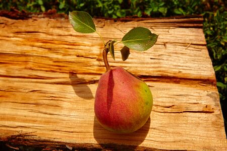 Fruit background. Fresh organic pear on old wood. Pear autumn harvestの写真素材