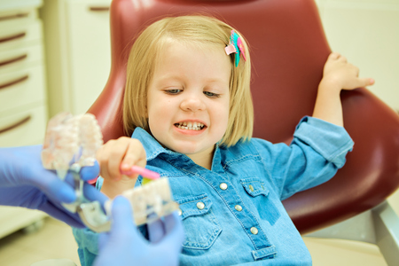 Little girl sitting in the dentists office learning to clean teethの写真素材