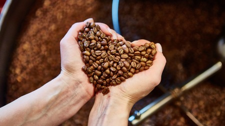close-up view of roasted coffee beans in womans handの写真素材