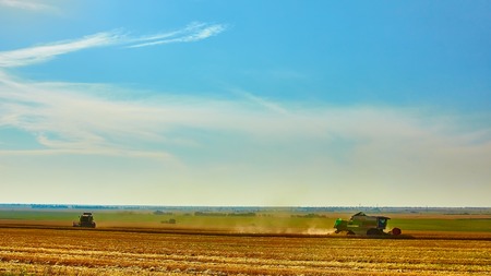 Harvester combine harvesting wheat on sunny summer day.の写真素材