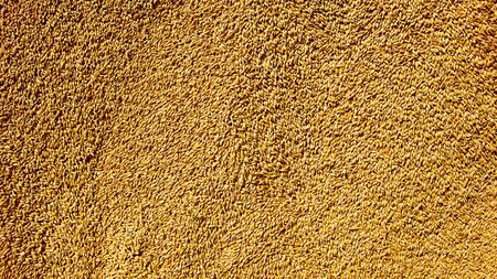 Grains of wheat close-up. Wheat texture backgroundの写真素材