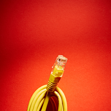The yellow network cable on red backgroundの写真素材