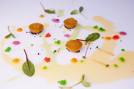 vegetable jelly with pike caviar dressing with sauce and green leavesの写真素材