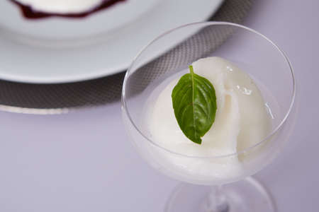 The Lemon Sorbet With Mint. Shallow dofの写真素材