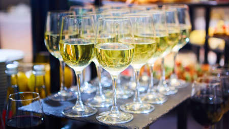 Glasses of white wine are on the table, ready to serveの写真素材