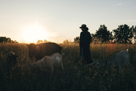 Young woman in the field is grazing her white goats. The girl and goats in the meadow in summer. Love for animals. Goat farm. Pets. Happy woman with animal. Kindness and love for animals. Kisses a petの写真素材