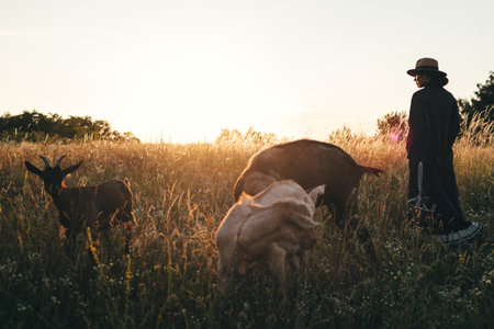 Young woman in the field is grazing her white goats. The girl and goats in the meadow in summer. Love for animals. Goat farm. Pets. Happy woman with animal. Kindness and love for animals. Kisses a petの写真素材