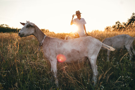 Trendy girl in stylish summer dress feeling free in the field. The goat in front of her. Sunset or sunrise time.の写真素材