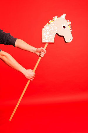 Stick horse, hobby horse. Equestrian sports. Equestrian equipment. Sports. Bannerの写真素材