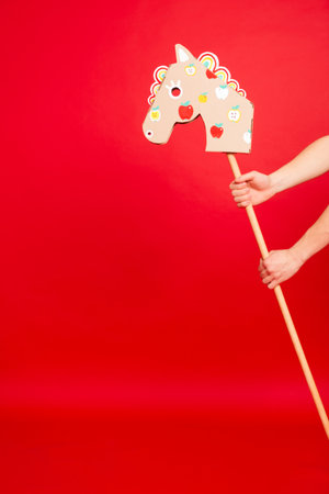 Stick horse, hobby horse. Equestrian sports. Equestrian equipment. Sports. Banner