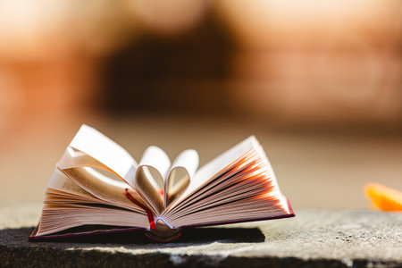 Open book with curled leaves in the shape of a heart. Library, education. Empty space for Your text on the left.の写真素材