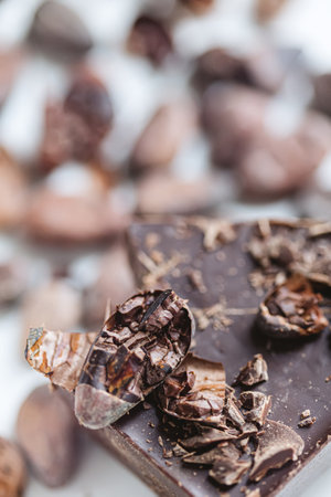 Cocoa beans with chocolate on a white background. Shalllow dof.