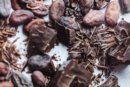 Cocoa beans with chocolate on a white background. Shalllow dof.の写真素材