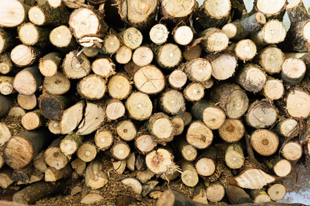 Neatly stacked pile of firewood, featuring a variety of chopped logs with visible tree rings and...